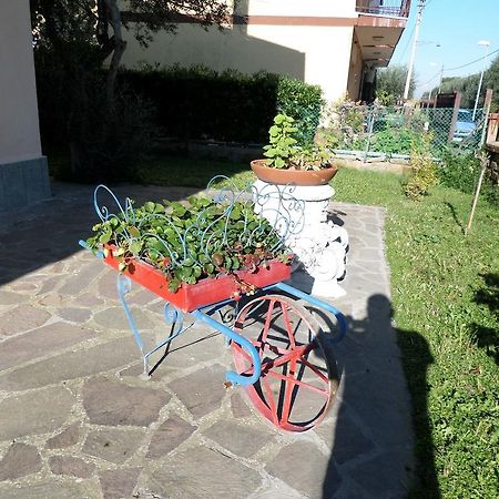 B&B Villino Lory Marino Kültér fotó