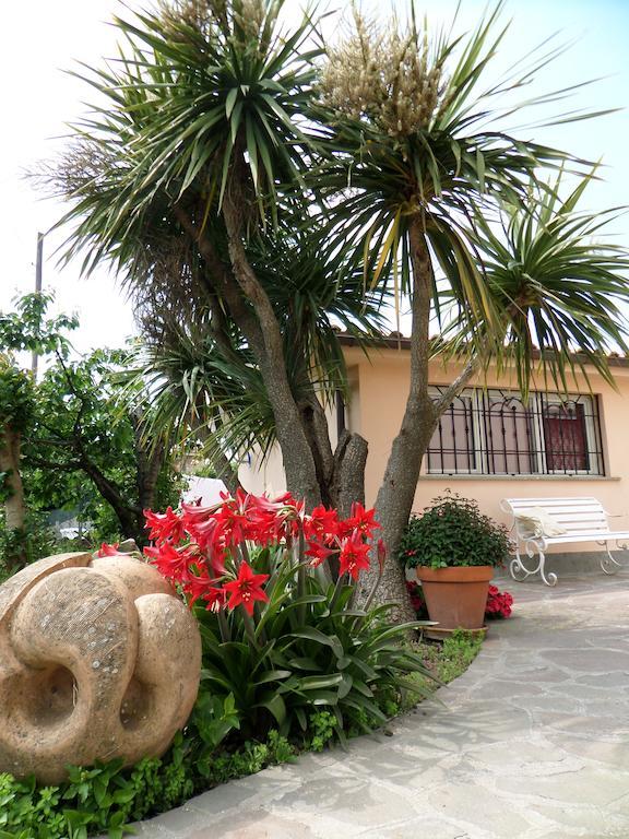 B&B Villino Lory Marino Szoba fotó